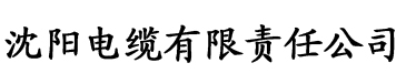 少年阿滨电缆厂logo